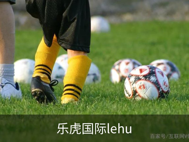 乐虎国际lehu简介